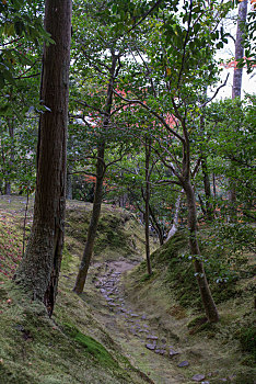 日式园林,日本寺庙花园树林