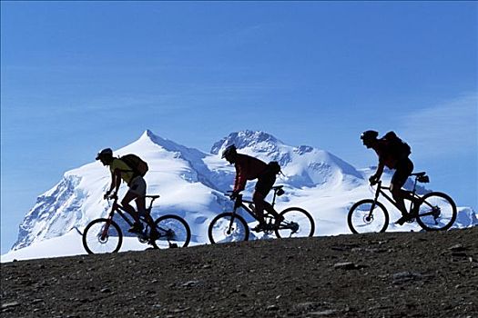 山地车手,山,策马特峰,瓦莱,瑞士,欧洲