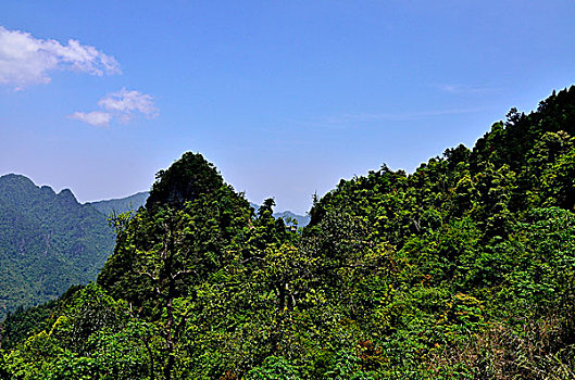 莲花山