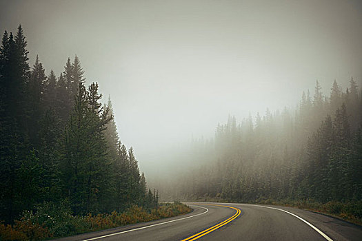 雾状,道路,黄昏,班芙国家公园
