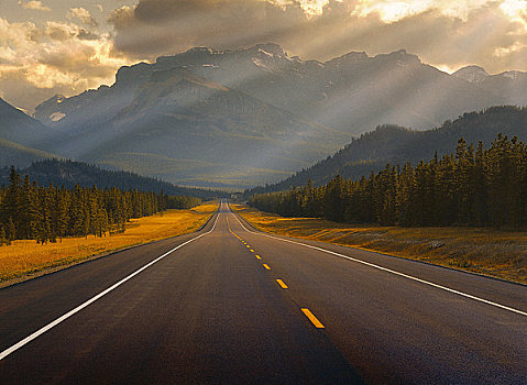 公路,日落,艾伯塔省,加拿大