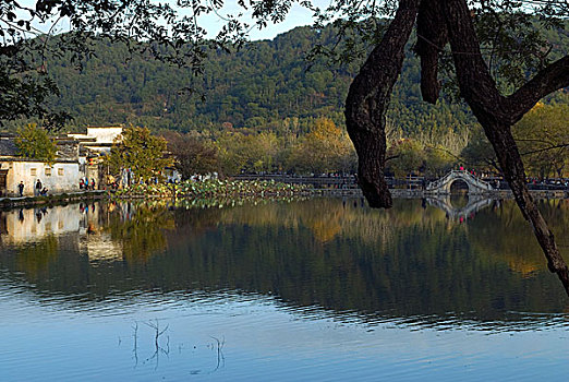 黟县宏村南湖的水面和民居