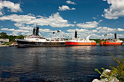 船,捆绑,码头,利物浦,新斯科舍省,加拿大