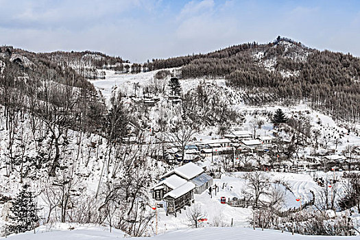 雪地,树林,村庄,雪村