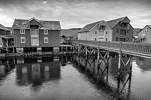 木屋,海岸,挪威,渔村