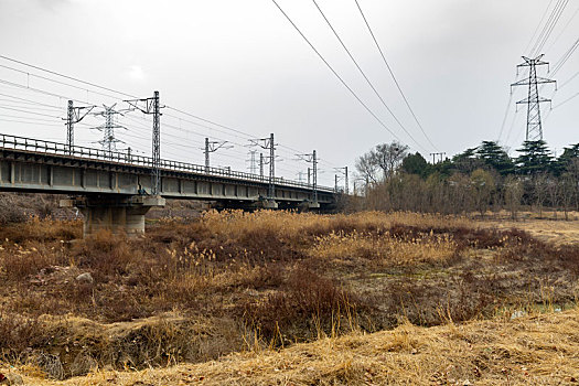 铁路桥,芦苇