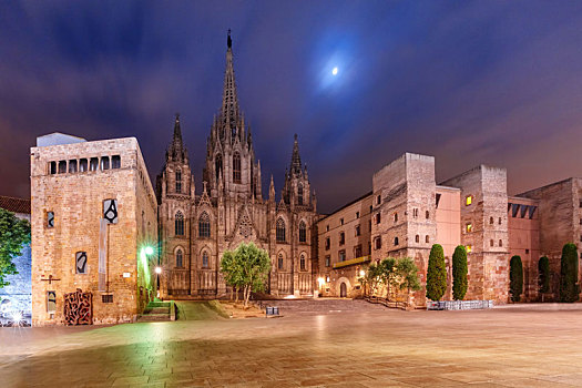 巴塞罗那,大教堂,月照,夜晚,西班牙