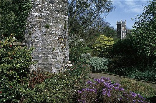 花园,花,灌木,特写,北爱尔兰,英国,欧洲