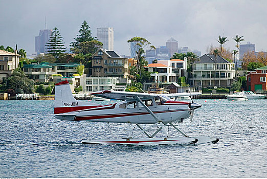 水上飞机,玫瑰,湾,悉尼,澳大利亚