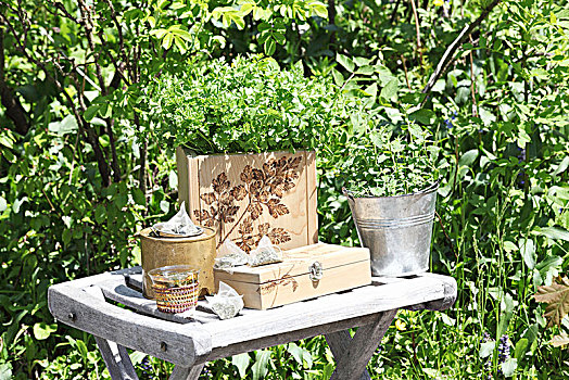 食用药草,木质,板条箱,创意,花园桌