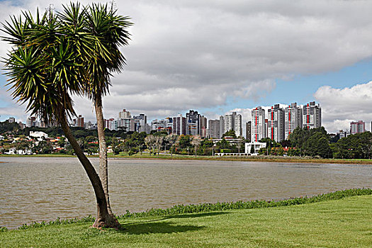 公园,天际线,摩天大楼,后面,巴西,南美