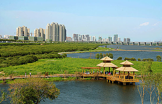 哈尔滨湿地