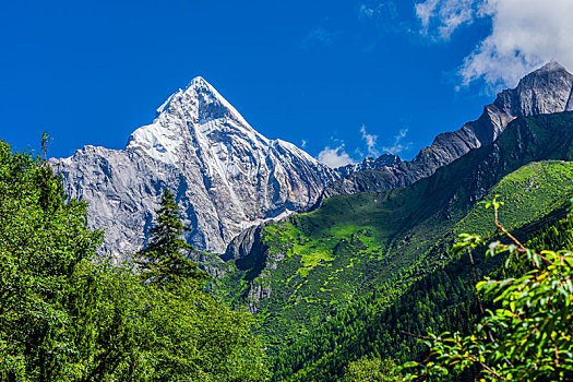 四姑娘山幺妹峰