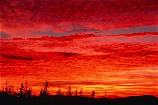 悬崖,日落,新布兰斯维克,加拿大