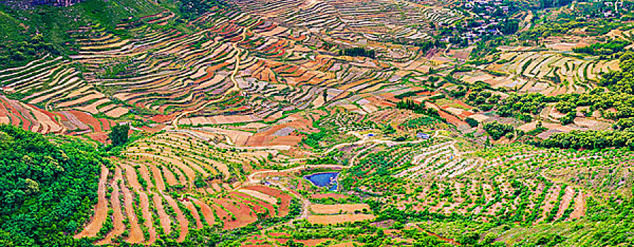 山东沂蒙山梯田