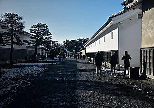 京都,日本,雪