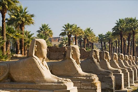 道路,狮身人面像,卢克索神庙,路克索神庙,埃及