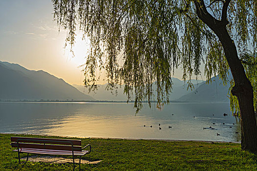 马焦雷湖,日落,洛迦诺,瑞士,提契诺河