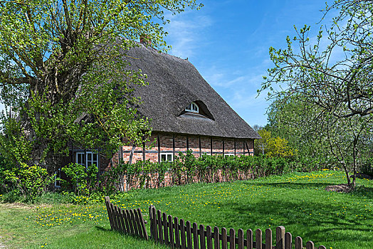 半木结构,农舍,茅草屋顶,梅克伦堡前波莫瑞州,德国,欧洲