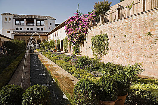 花,植物,墙壁,建筑,喷水池,轩尼洛里菲花园,花园,院落,阿尔罕布拉宫,地面,格拉纳达,西班牙