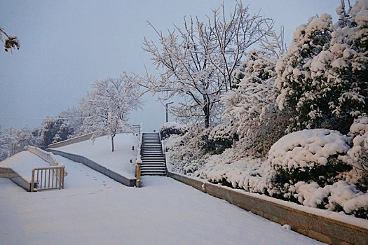 长沙北辰三角洲的雪景