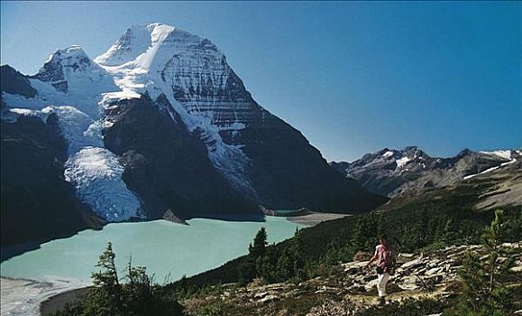 正面,罗布森山,山,冰河,落基山脉,加拿大,北美