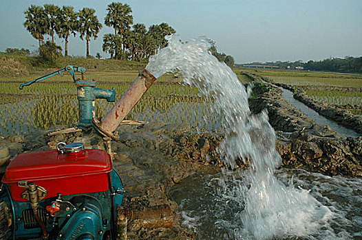 灌溉,泵,孟加拉,一月,2008年