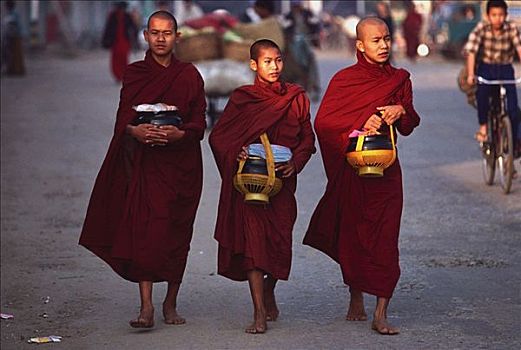 缅甸,和尚,寺院,收集,施舍