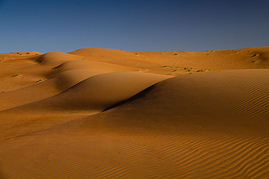 沙丘,瓦希伯沙漠,沙尔基亚区,沙,阿曼,亚洲