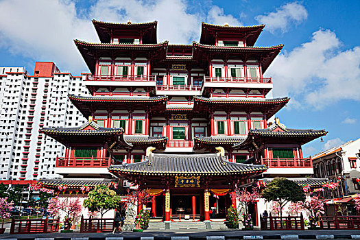 建筑,佛,牙齿,古物,庙宇,博物馆,唐人街,新加坡