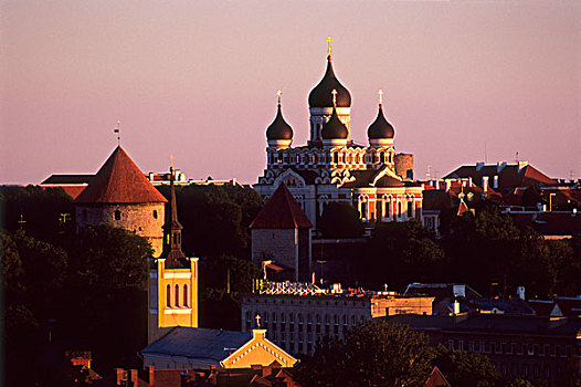 大教堂,城堡区,老城,塔林,爱沙尼亚