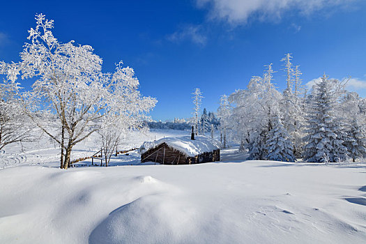 林海雪原中的小木屋