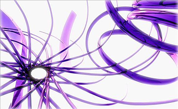 紫色,抽象,螺旋,图案,白色背景