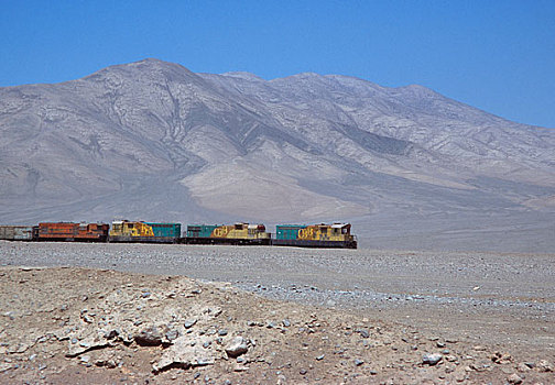 货运列车,移动,荒芜,风景