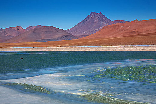 风景,冰冻,泻湖,火山,阿塔卡马沙漠,智利