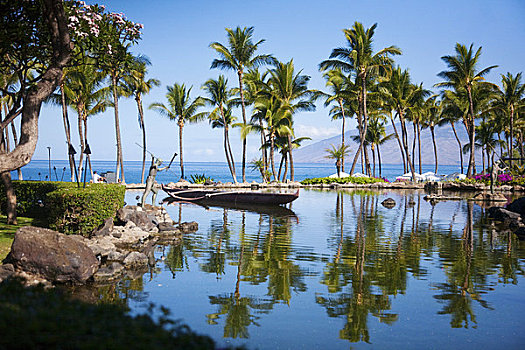 棕榈树,旅游胜地,海滩,胜地,毛伊岛,夏威夷,美国