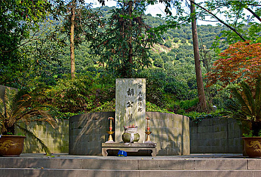 新西湖十景,龙井问茶