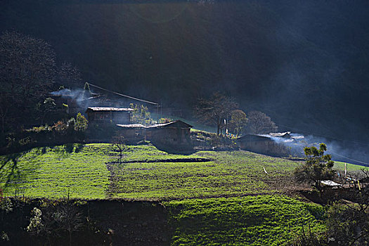 雾里村