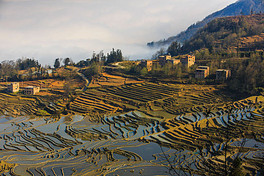 元阳哈尼梯田