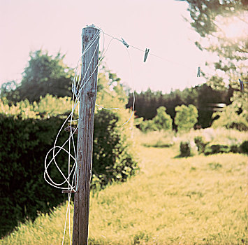 晾衣绳,花园