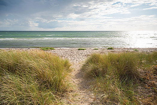 丹麦人,海滩,风景