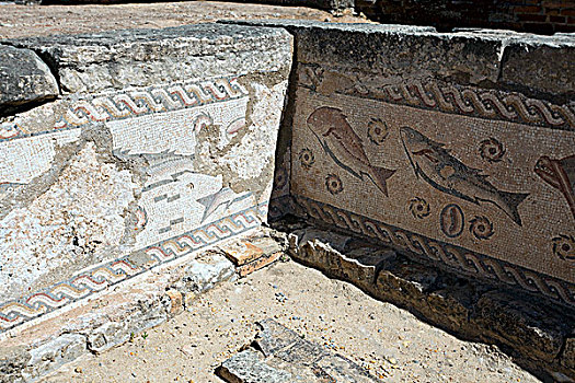 鱼,镶嵌图案,罗马,遗址,葡萄牙,2009年