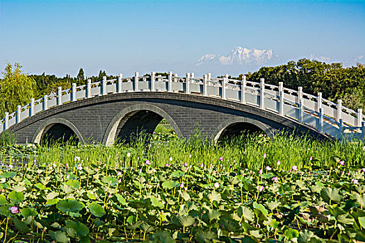 新疆五家渠青湖御园景区