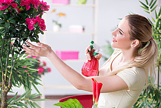 美女,浇水,植物,花园