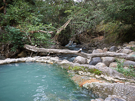 户外泳池,热,地热水,国家公园,省,哥斯达黎加,中美洲