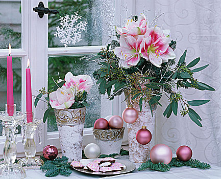 孤挺花,花瓶,圣诞装饰