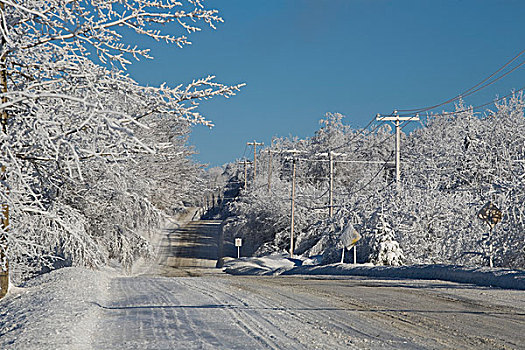 雪路,冬天,加拿大