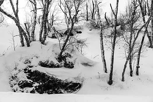 雪景