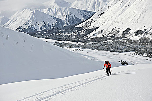 女人,滑雪者,边远地区,滑雪,器具,楚加奇国家森林,阿拉斯加,冬天