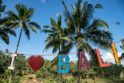 巴厘岛乌布梯田椰树欢迎字母
